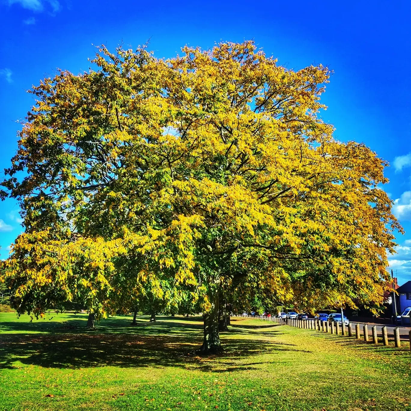Photo of Northampton By Meetu Varshney