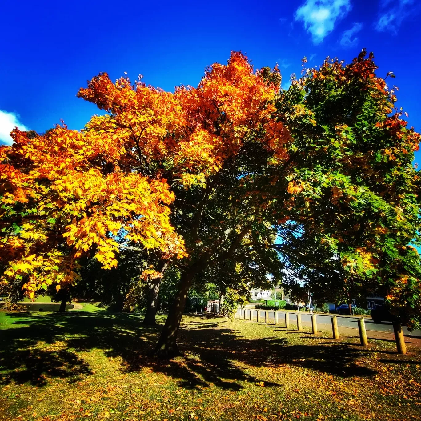 Photo of Northampton By Meetu Varshney