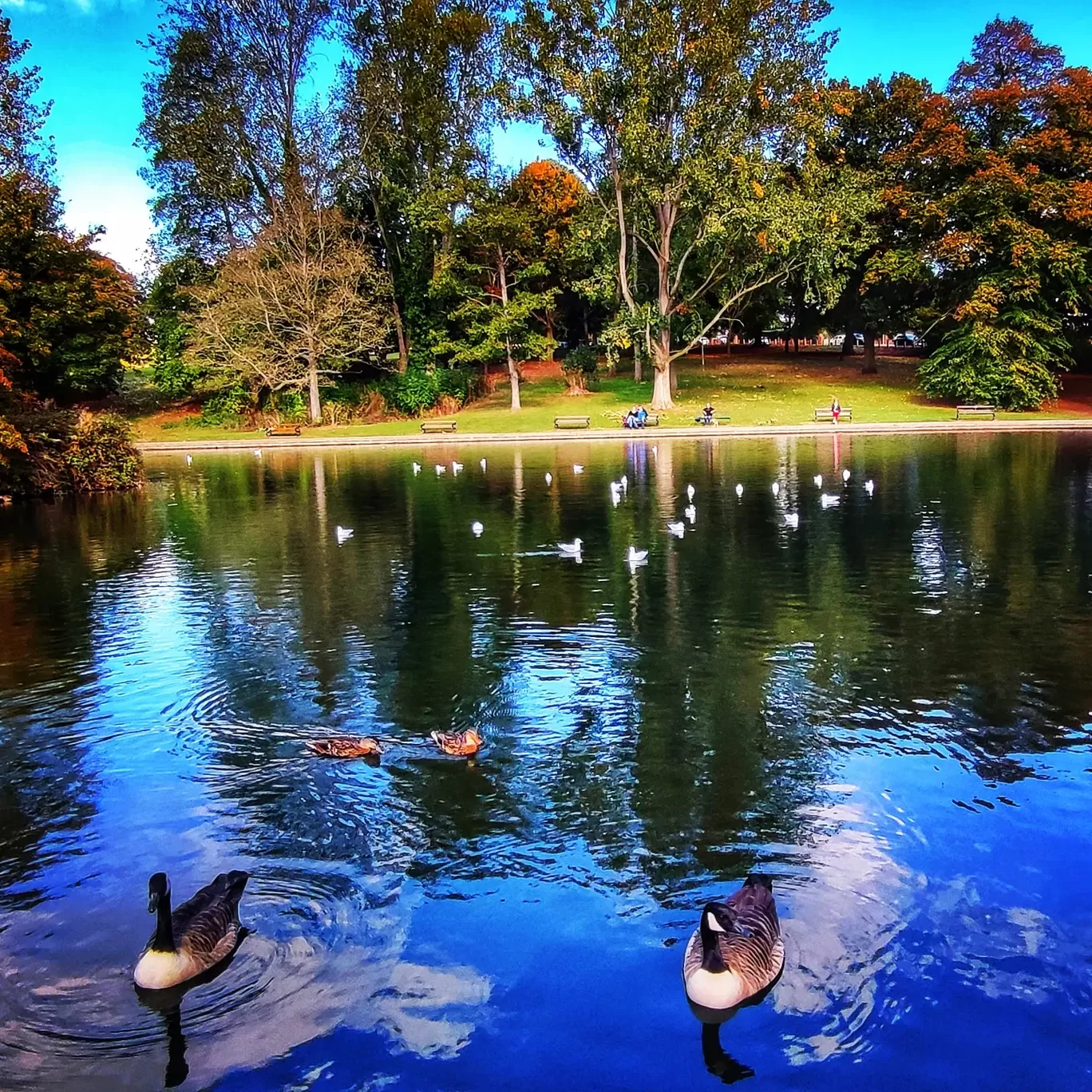 Photo of Northampton By Meetu Varshney