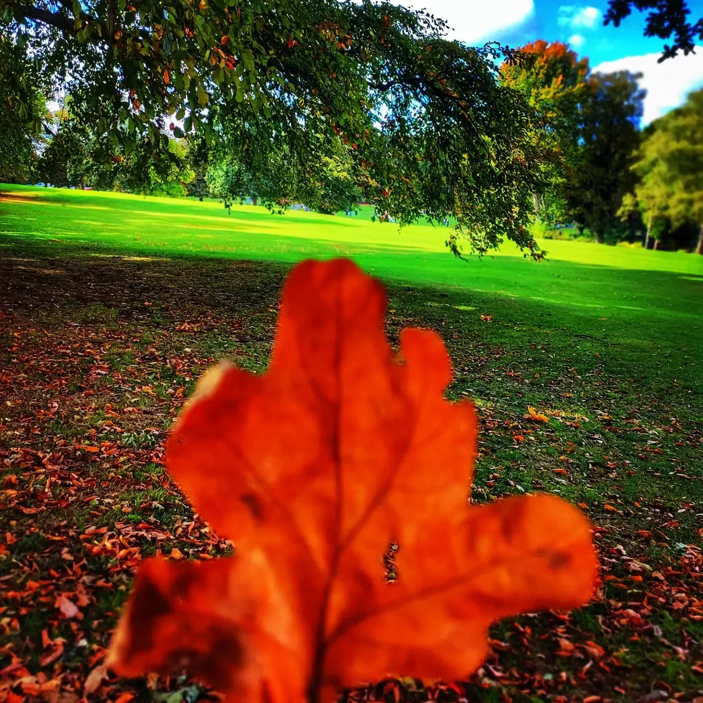 Photo of Northampton By Meetu Varshney