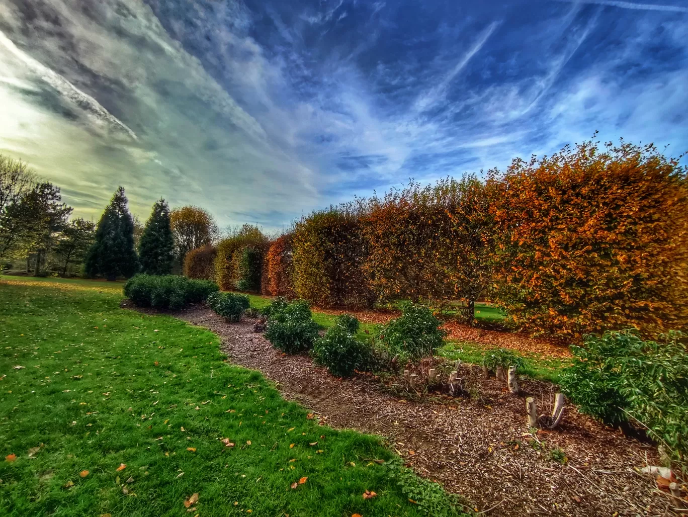 Photo of The Tree Cathedral By Meetu Varshney