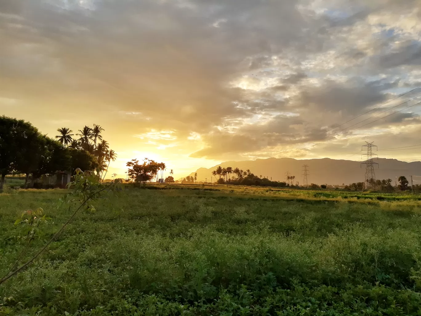 Photo of Puliyancholai Park By Gowdham Karthi