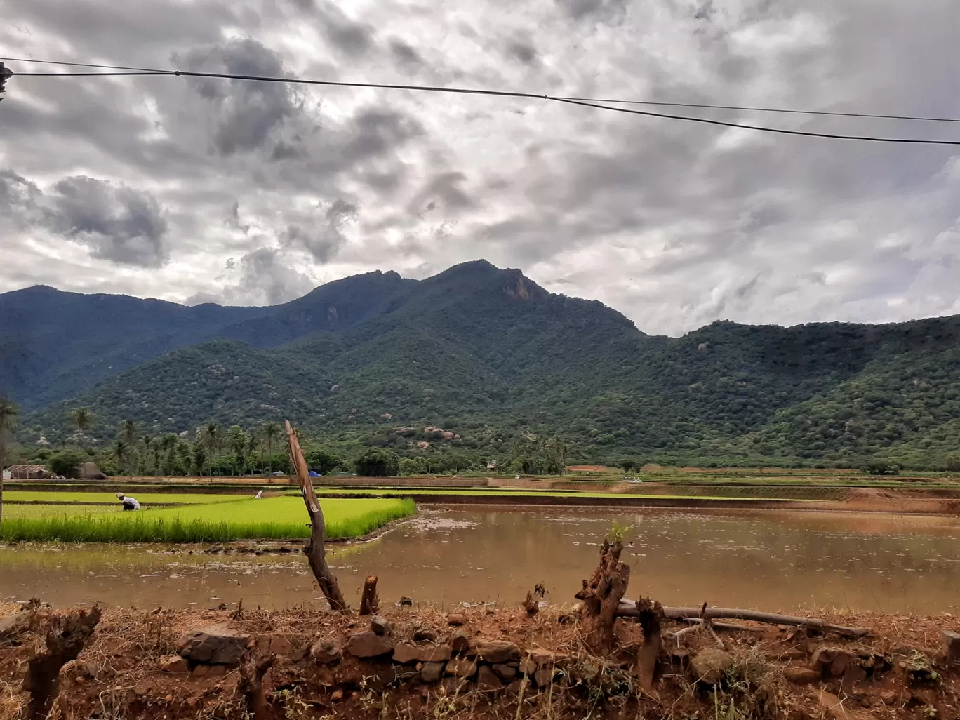 Photo of Puliyancholai Park By Gowdham Karthi