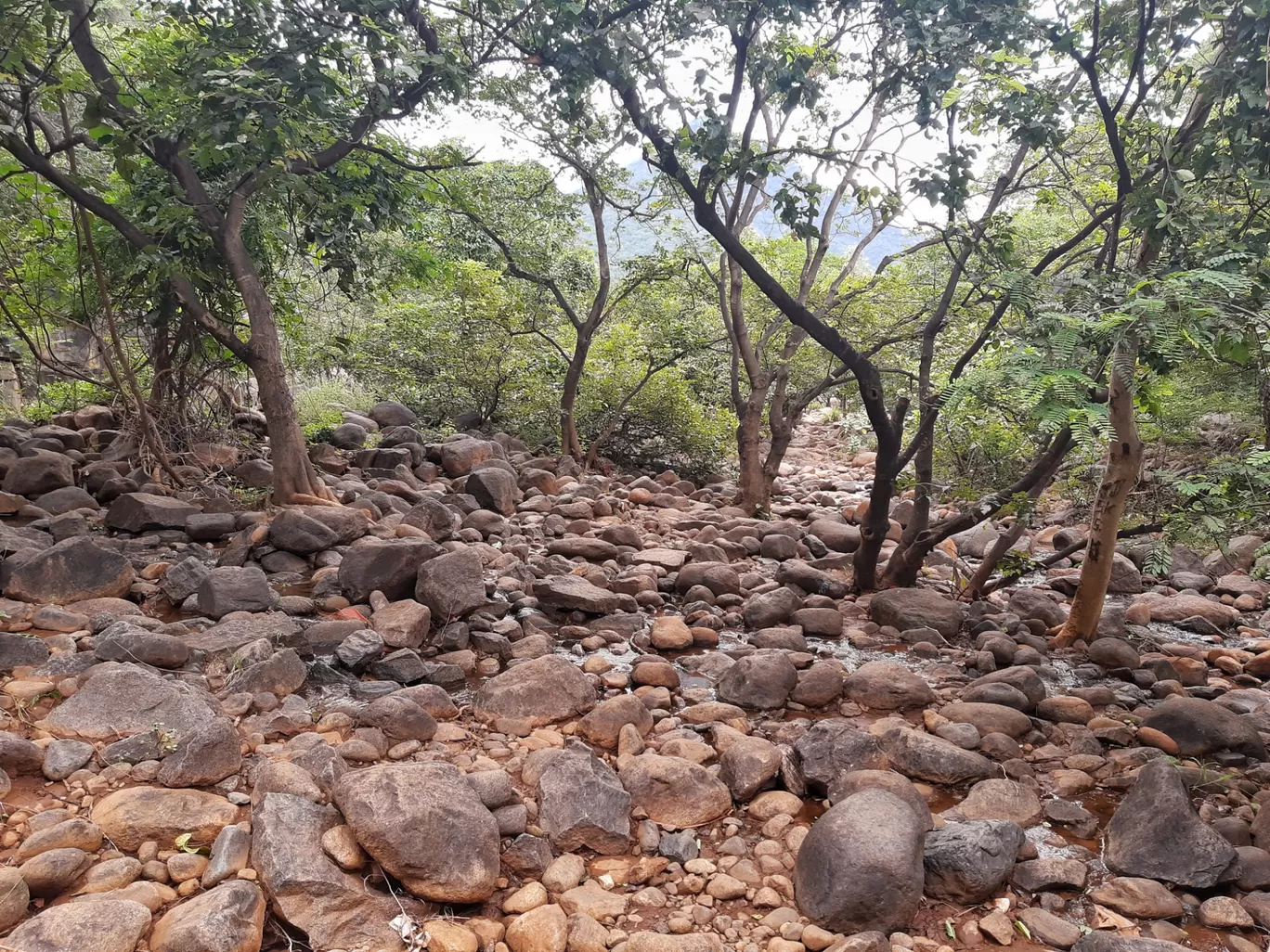 Photo of Puliyancholai Park By Gowdham Karthi