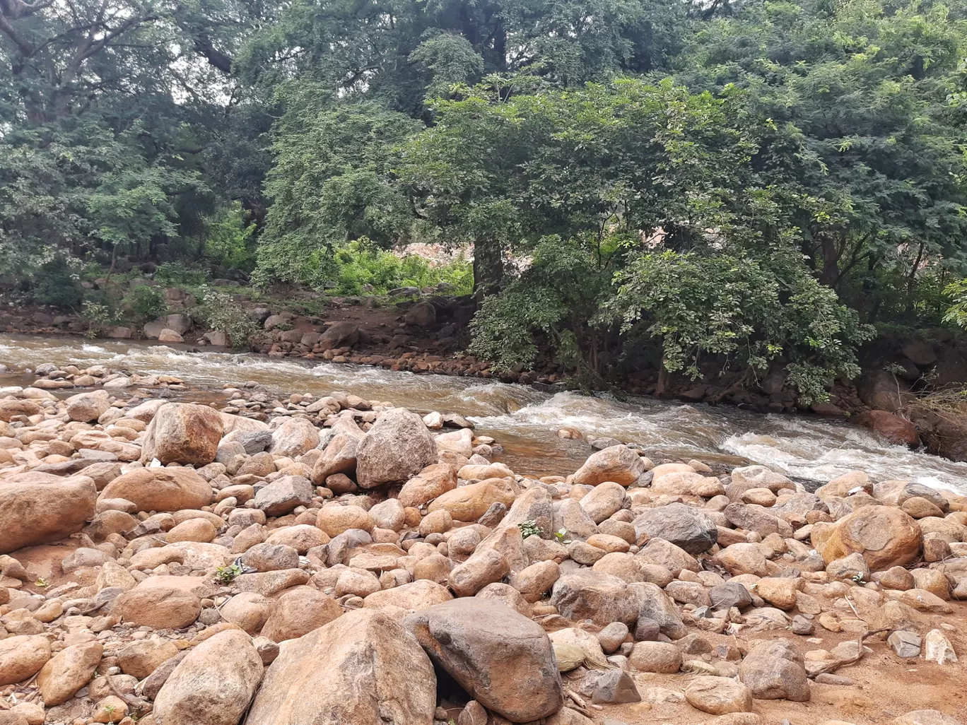 Photo of Puliyancholai Park By Gowdham Karthi