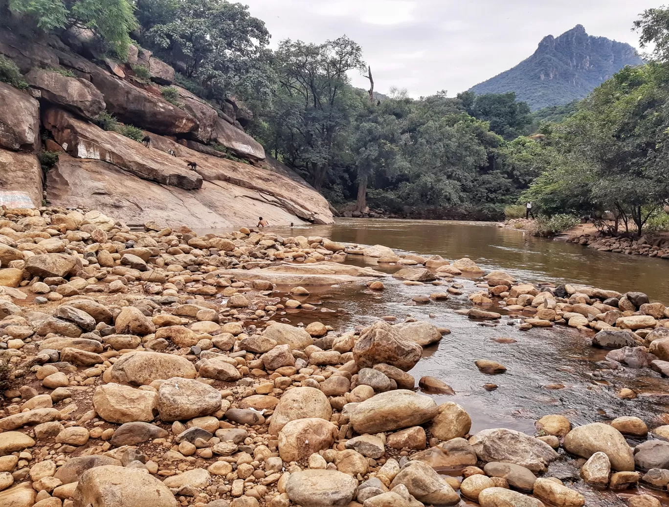 Photo of Puliyancholai Park By Gowdham Karthi