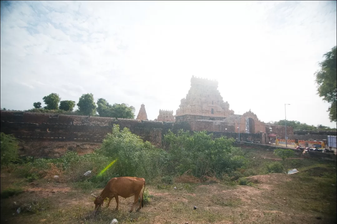 Photo of Thanjavur Big Temple By nithinpn86