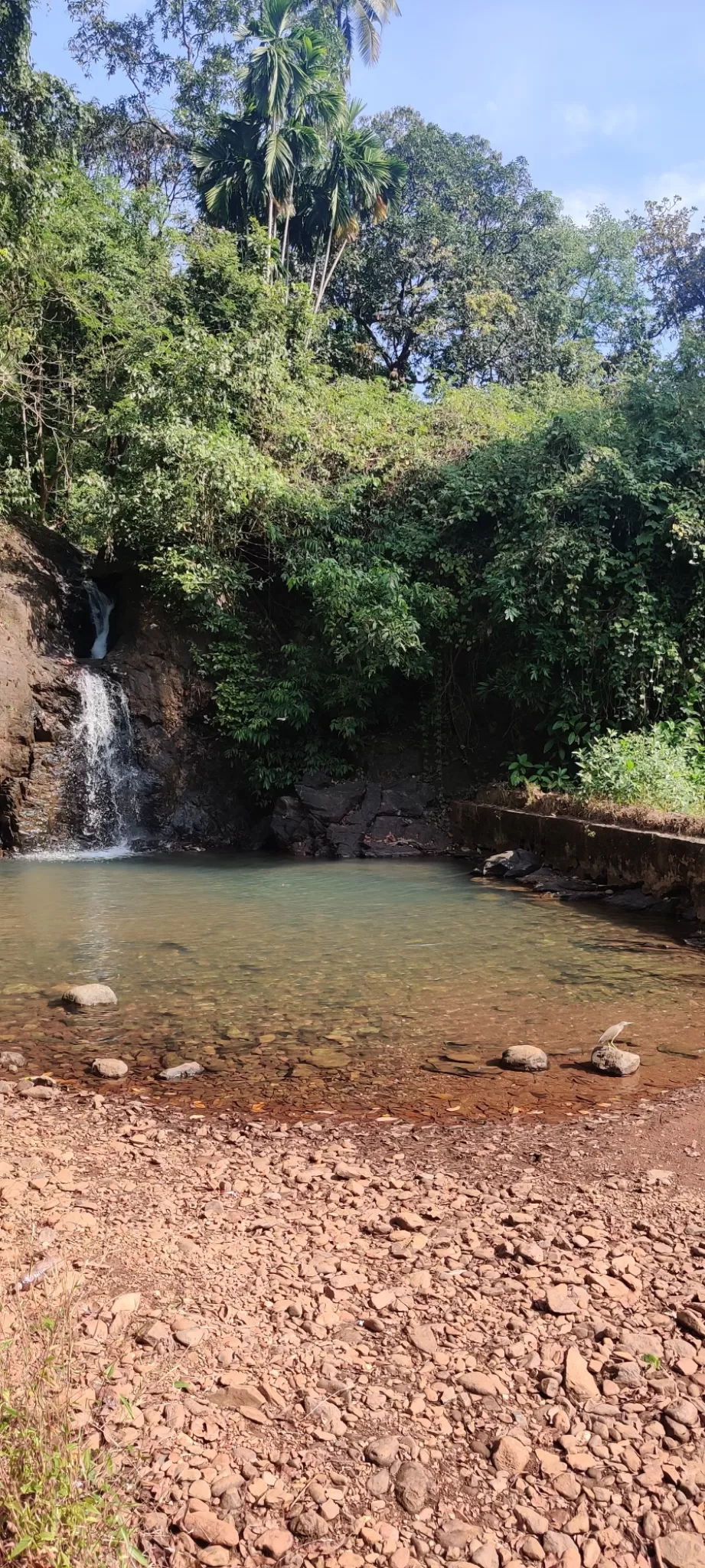 Photo of Canacona By Bhawna Sharma