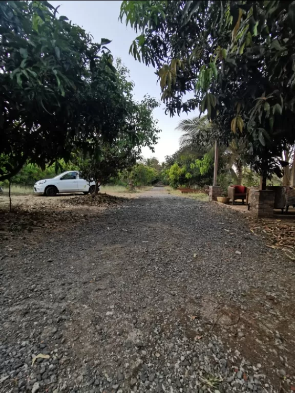 Photo of Arwa Farms By Rakesh Bisth