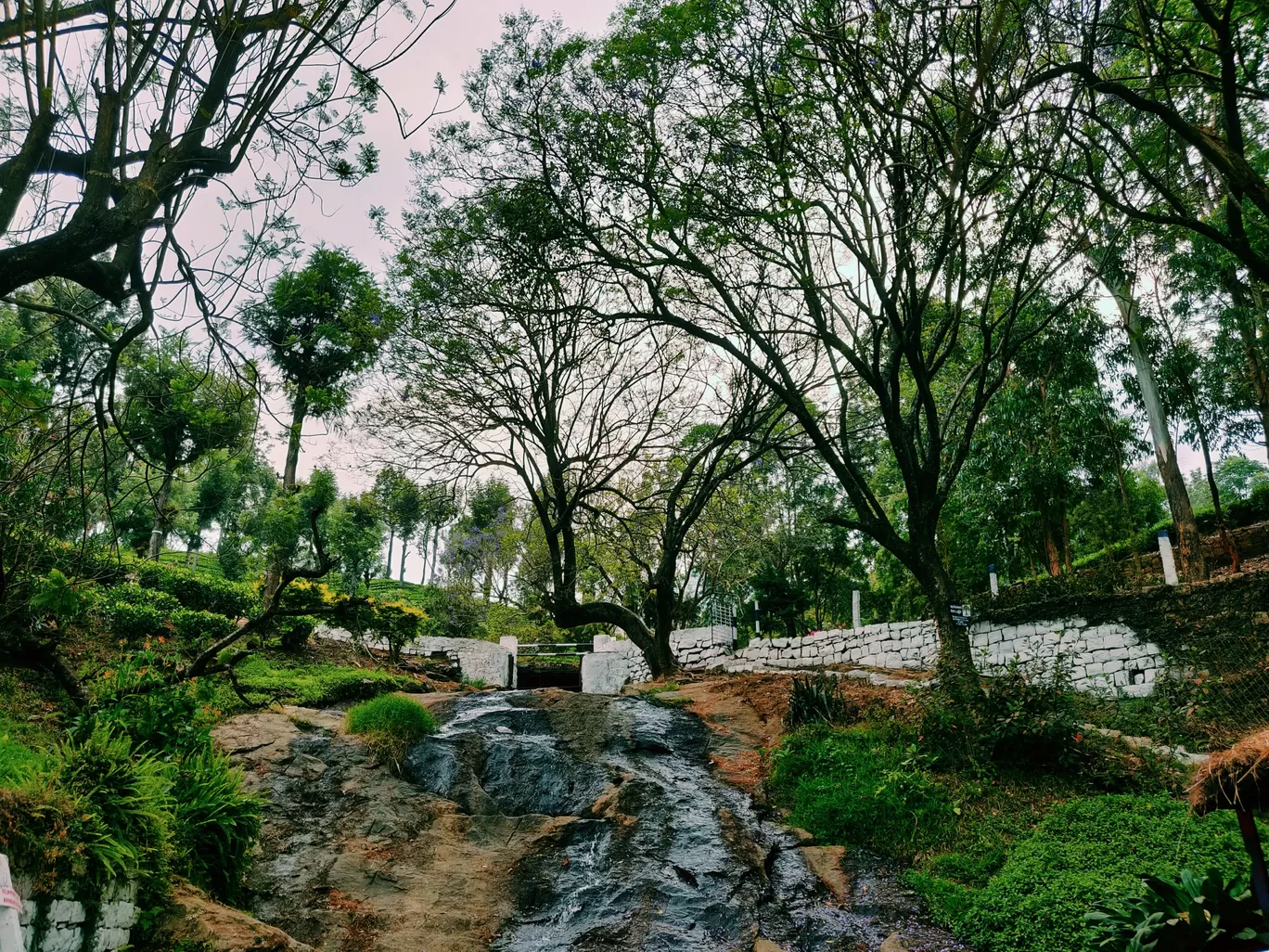 Photo of Valparai By Sam Samy