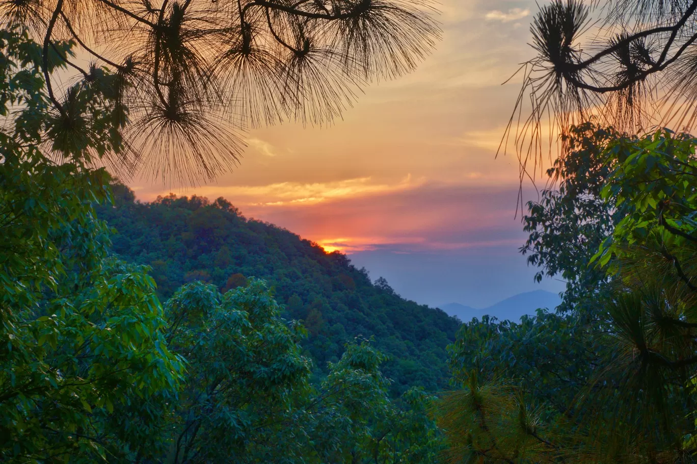 Photo of Himachal Pradesh By Amrita Guha