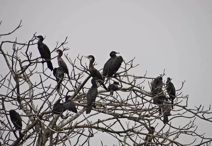 Photo of Kolkata By Travelling Banda
