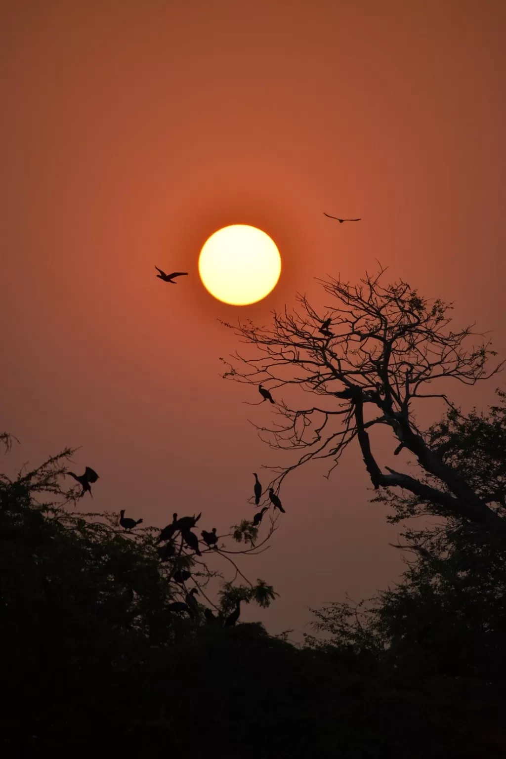 Photo of Kolkata By Travelling Banda
