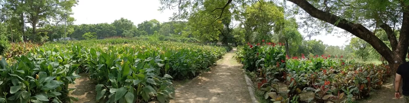 Photo of Sunder Nursery By keep roaming the world 