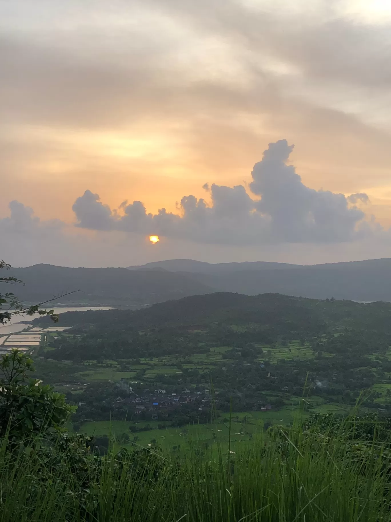 Photo of Forest Hills at Tala By Nirmala Phadtare