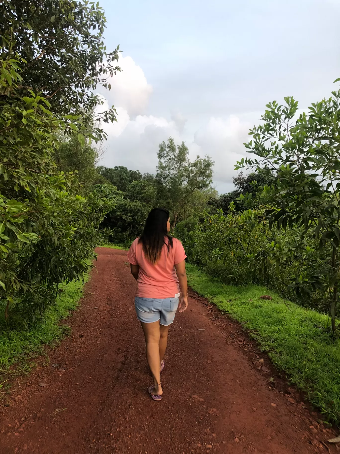 Photo of Forest Hills at Tala By Nirmala Phadtare