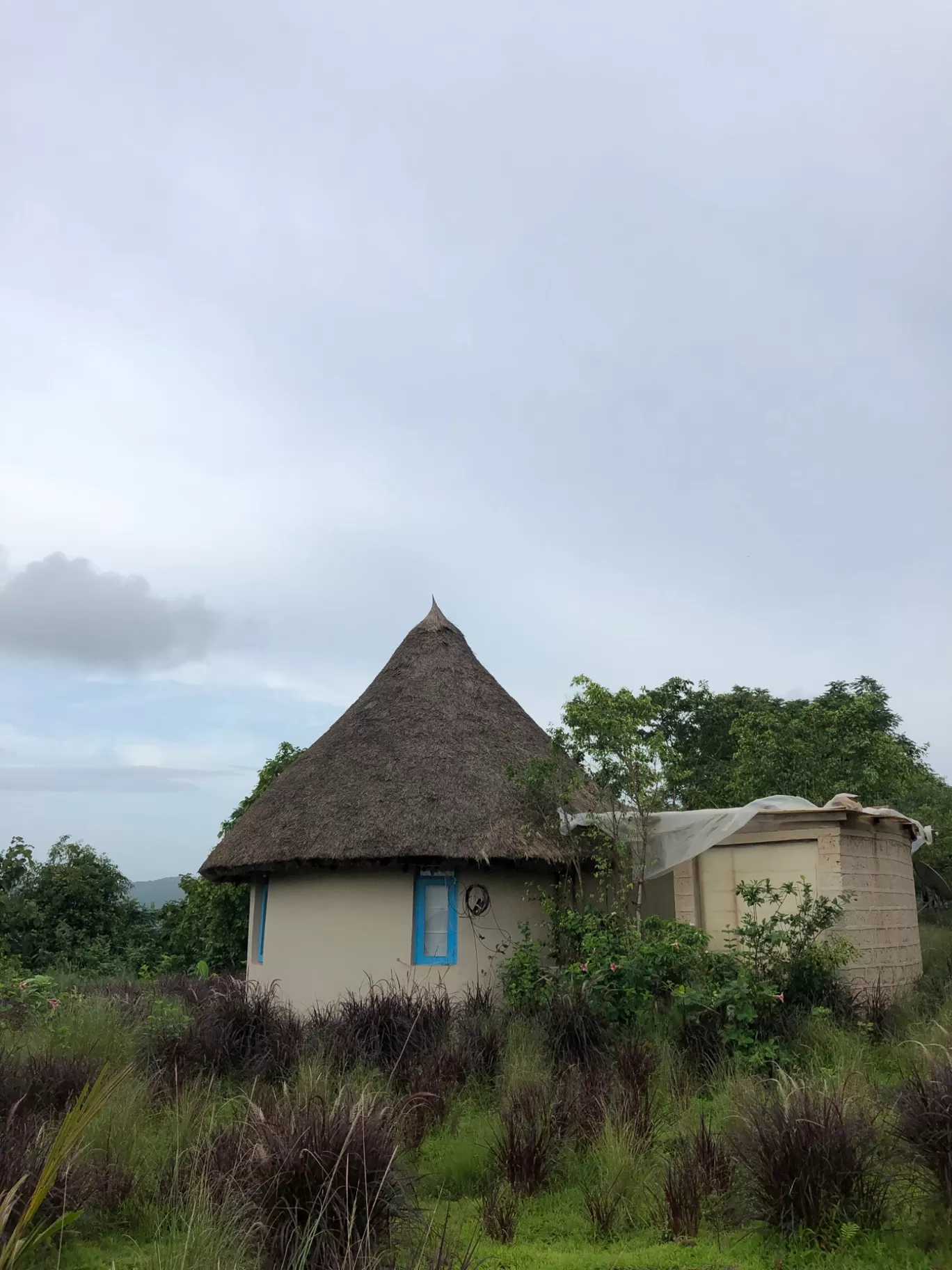Photo of Forest Hills at Tala By Nirmala Phadtare