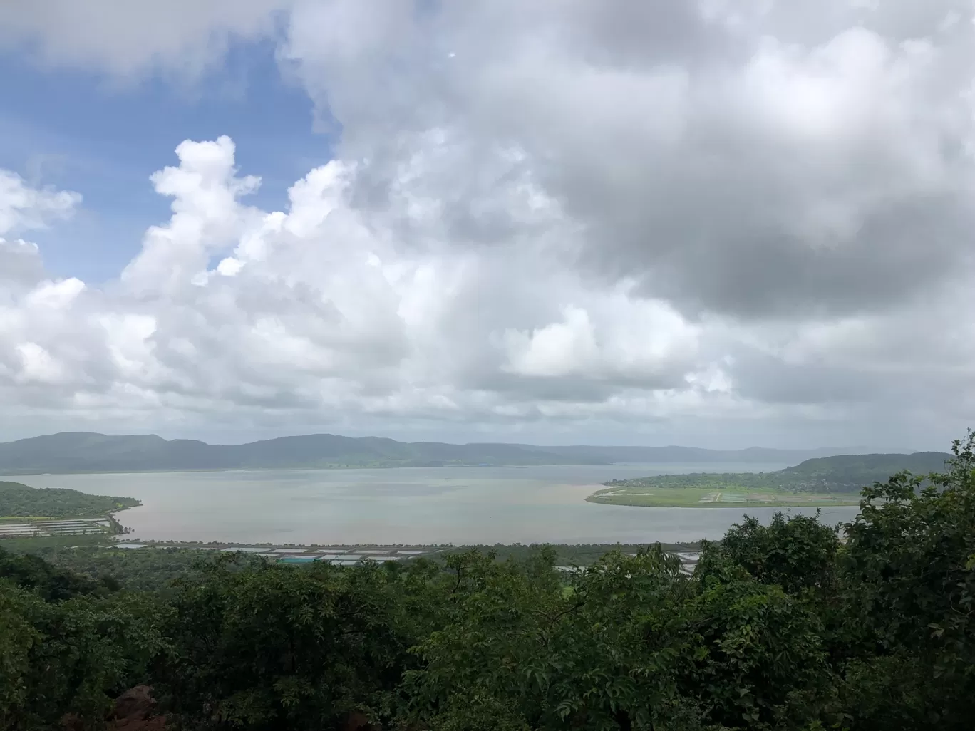 Photo of Forest Hills at Tala By Nirmala Phadtare