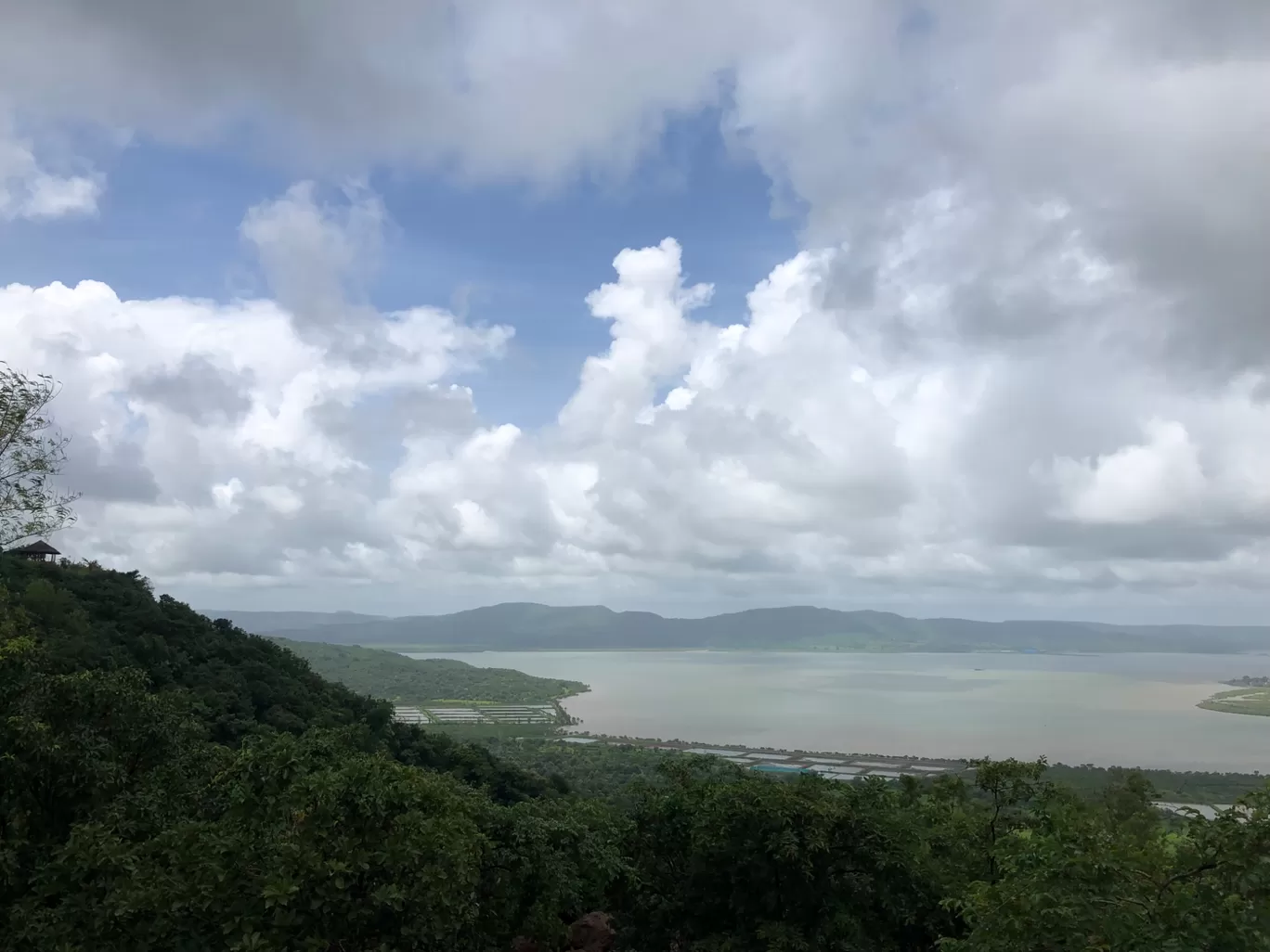 Photo of Forest Hills at Tala By Nirmala Phadtare