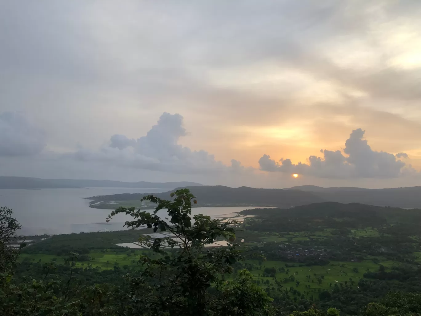 Photo of Forest Hills at Tala By Nirmala Phadtare