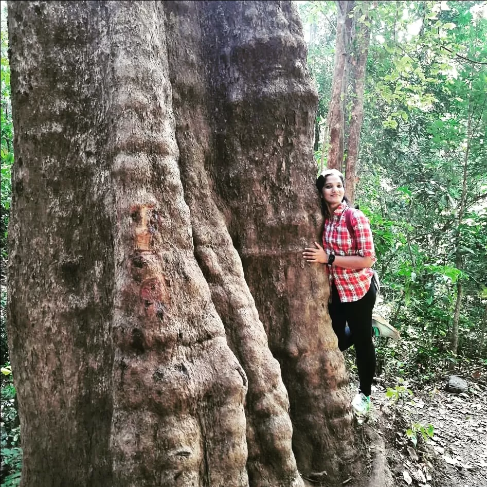 Photo of Yana Caves By Manju Gawde