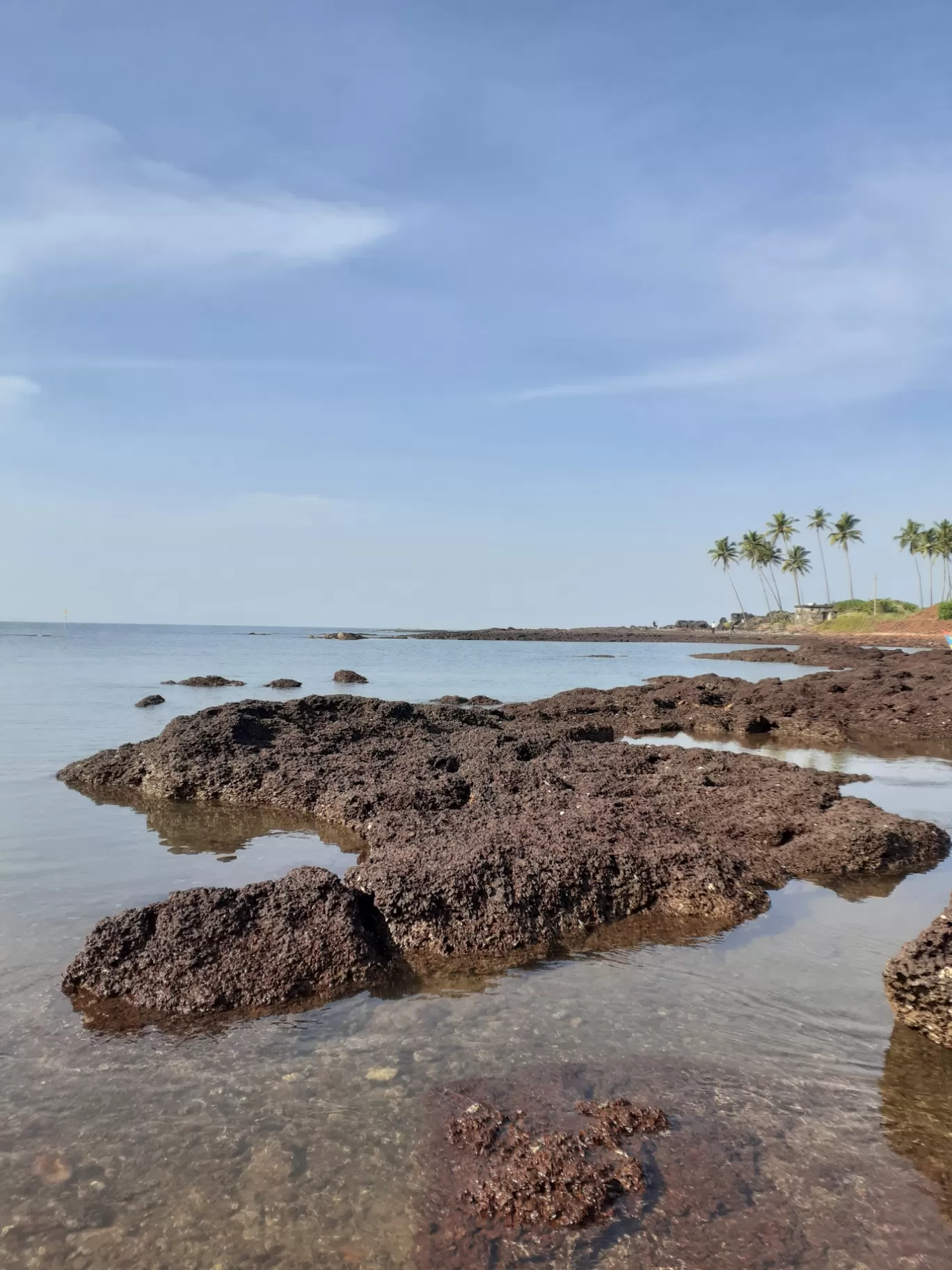 Photo of Redi Beach By Manju Gawde