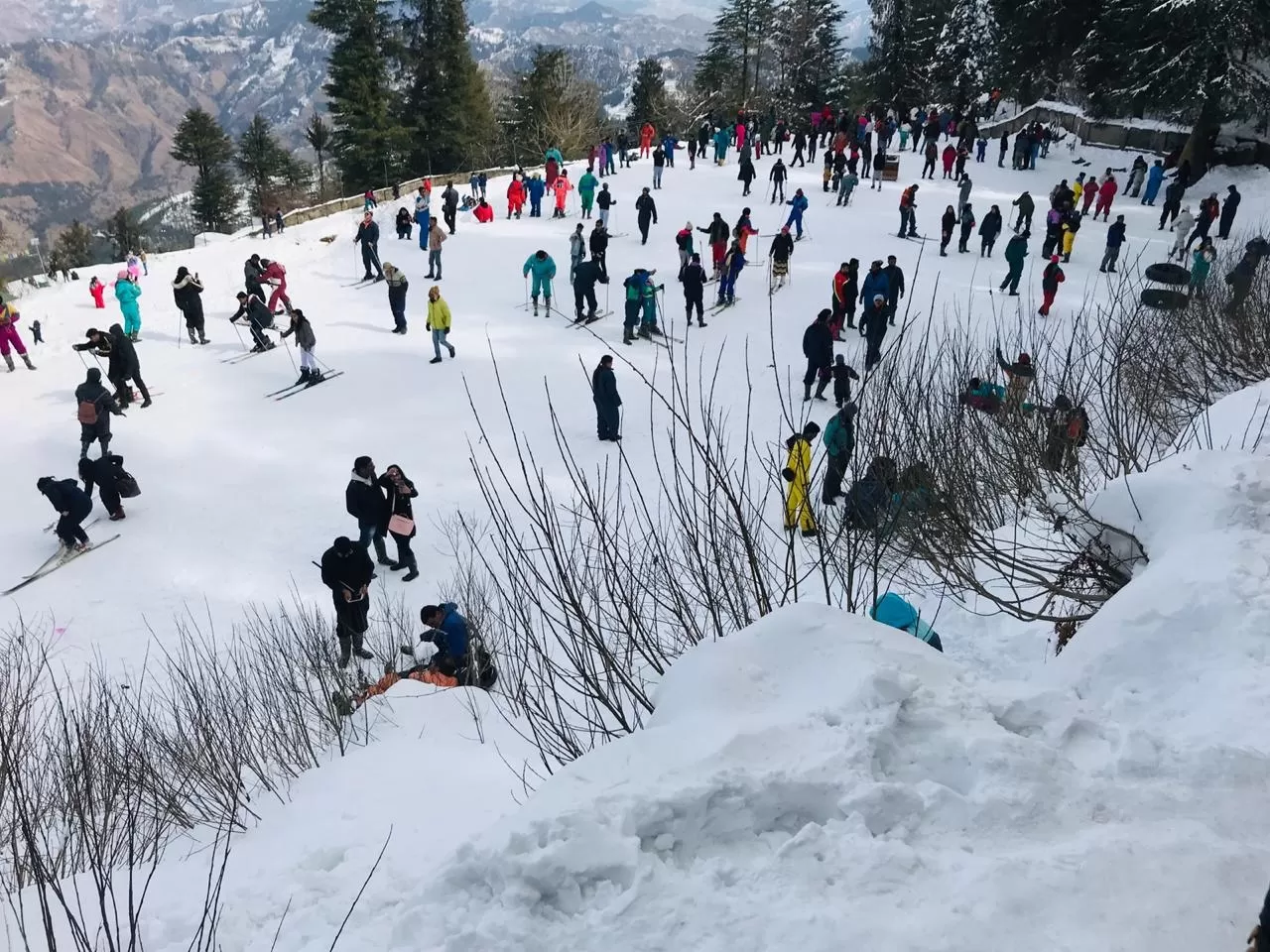 Photo of Nature beauty in shimla By Stuti