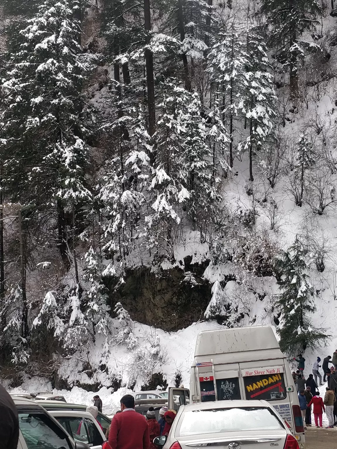 Photo of Nature beauty in shimla By Stuti