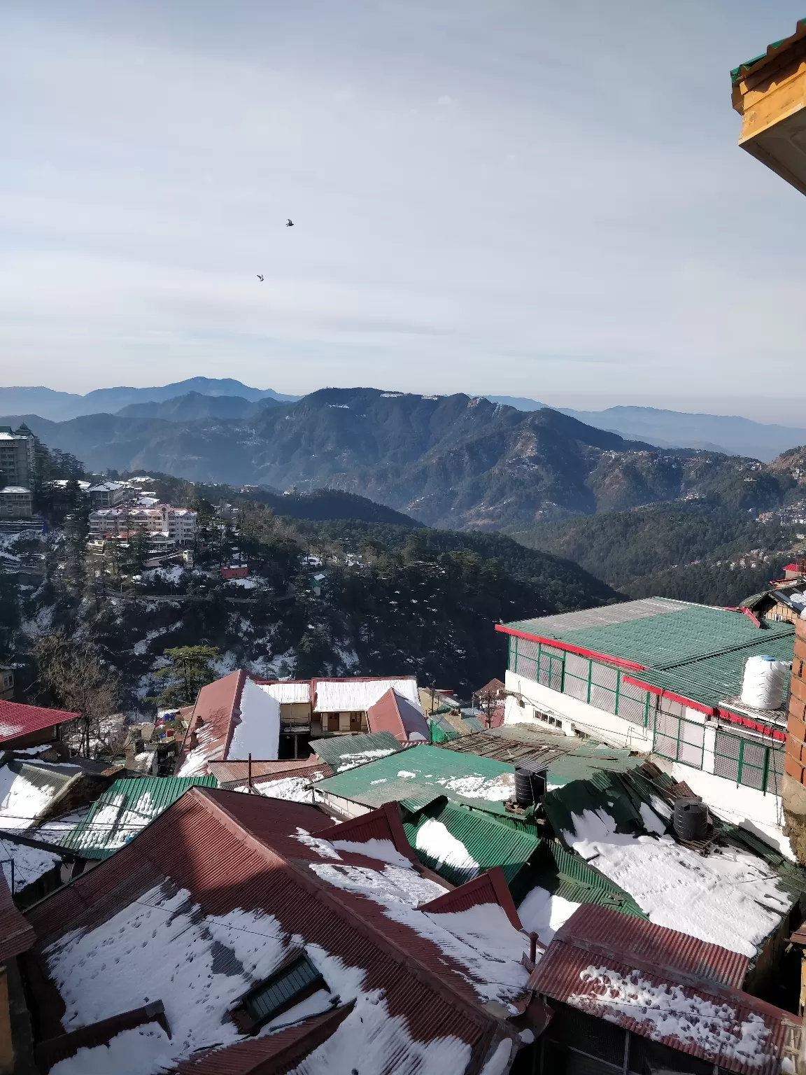 Photo of Nature beauty in shimla By Stuti