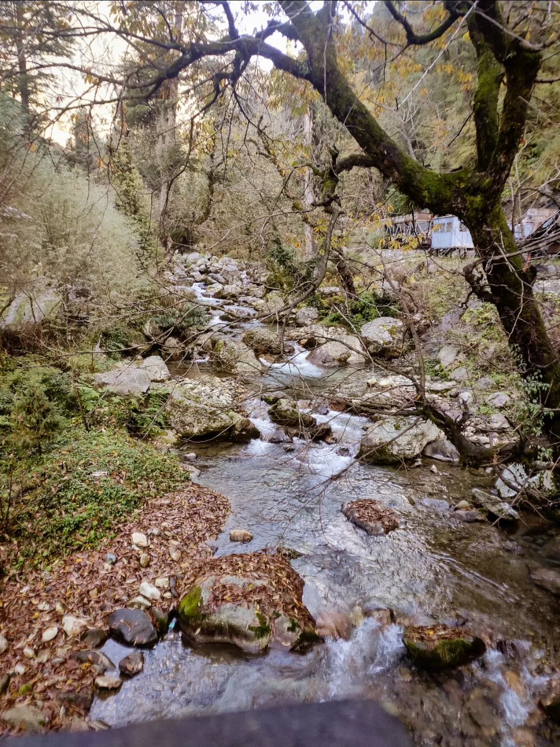 Photo of Tirthan Valley By The Brown Explorer