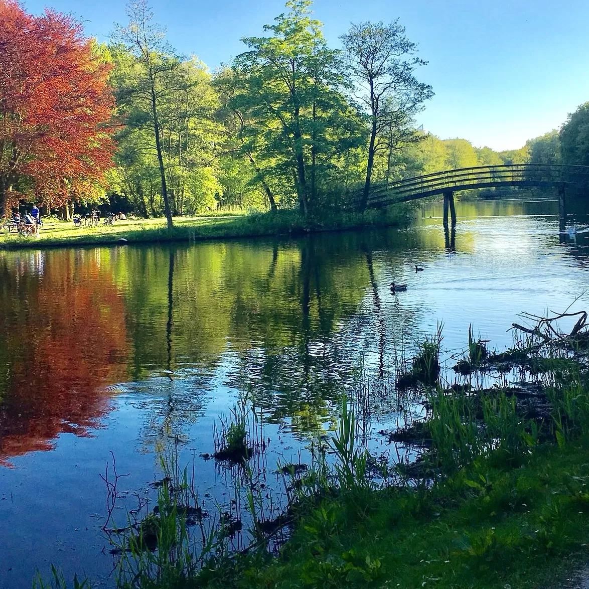 Photo of The Hague By Trupti Morone 