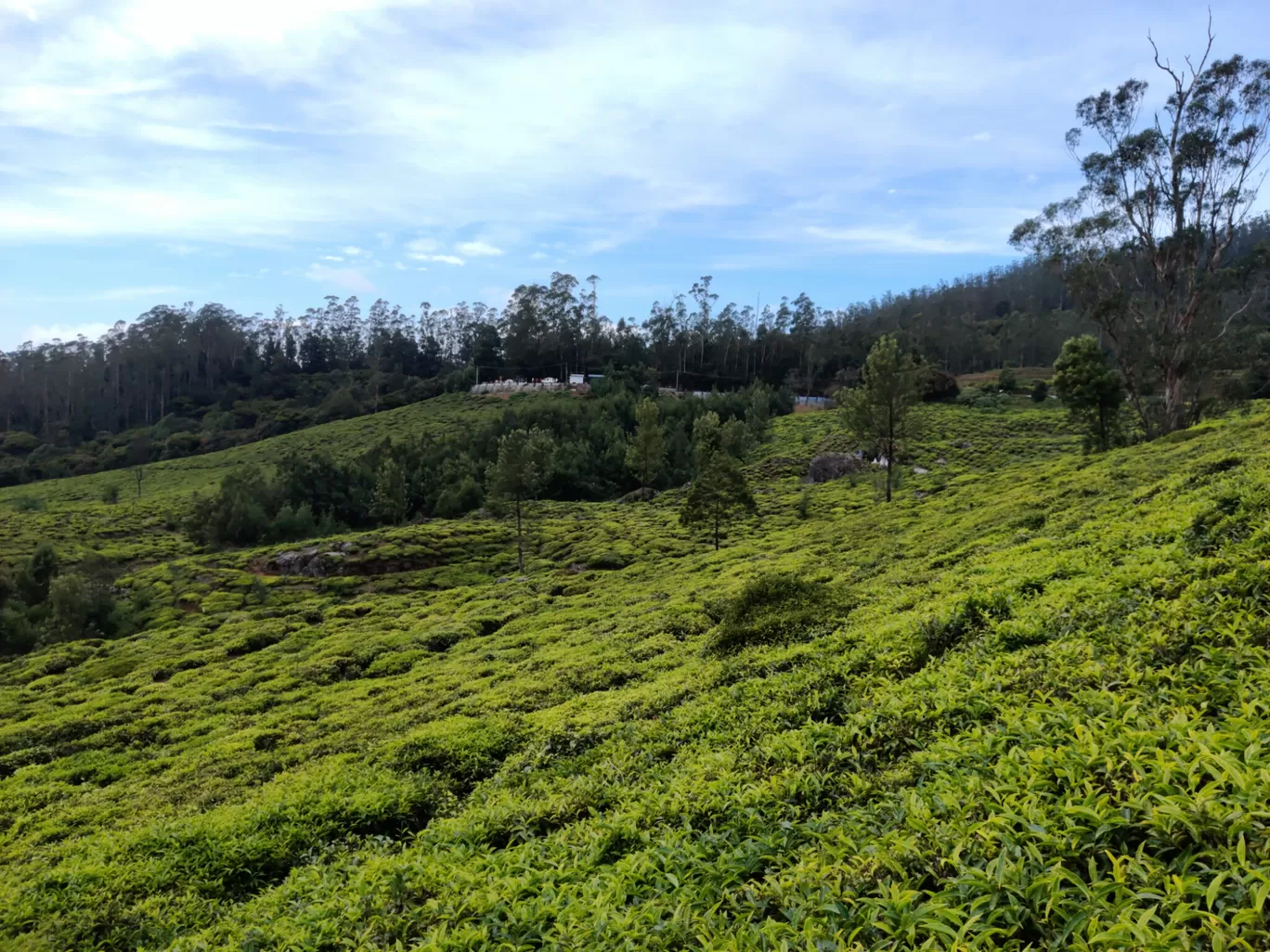 Photo of Ooty By Glan Stalin D'souza