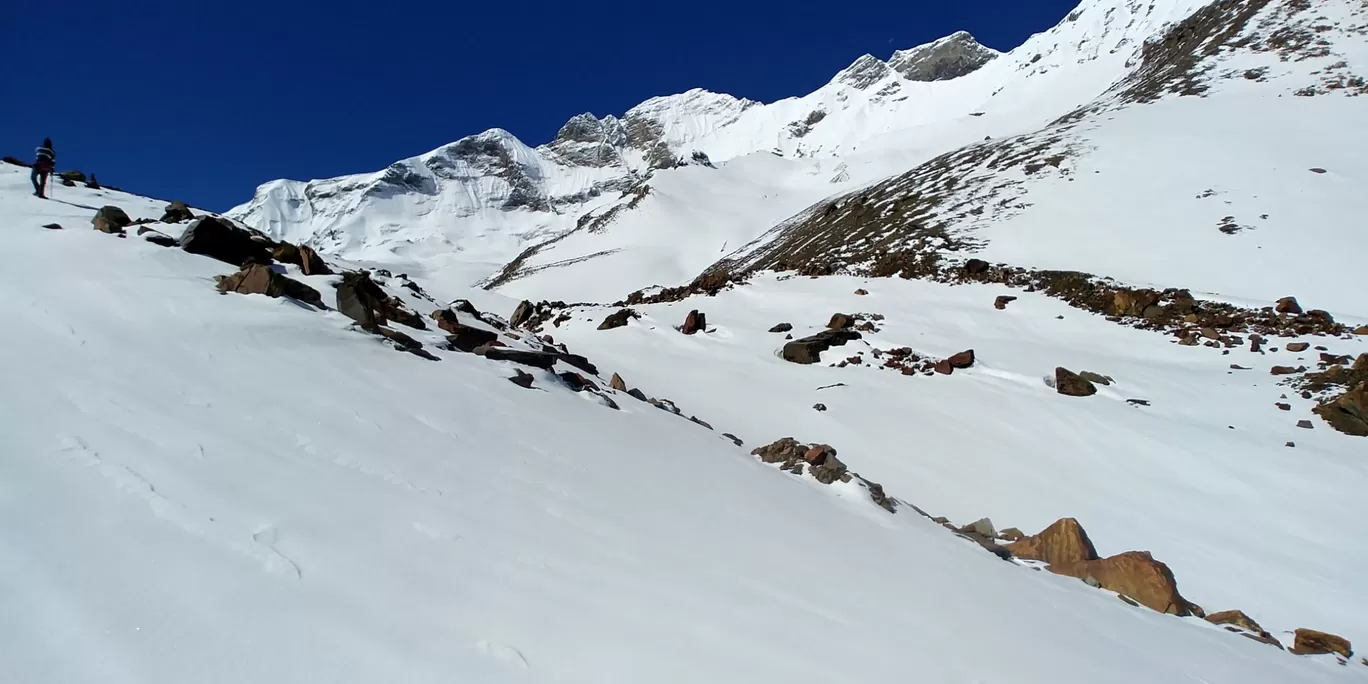 Photo of Kedartal trek By Mohak Sharma