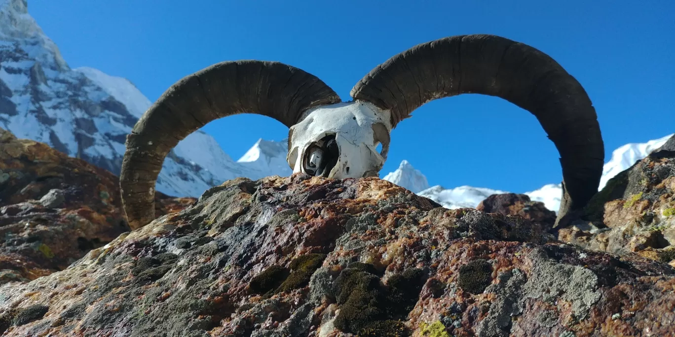Photo of Kedartal trek By Mohak Sharma