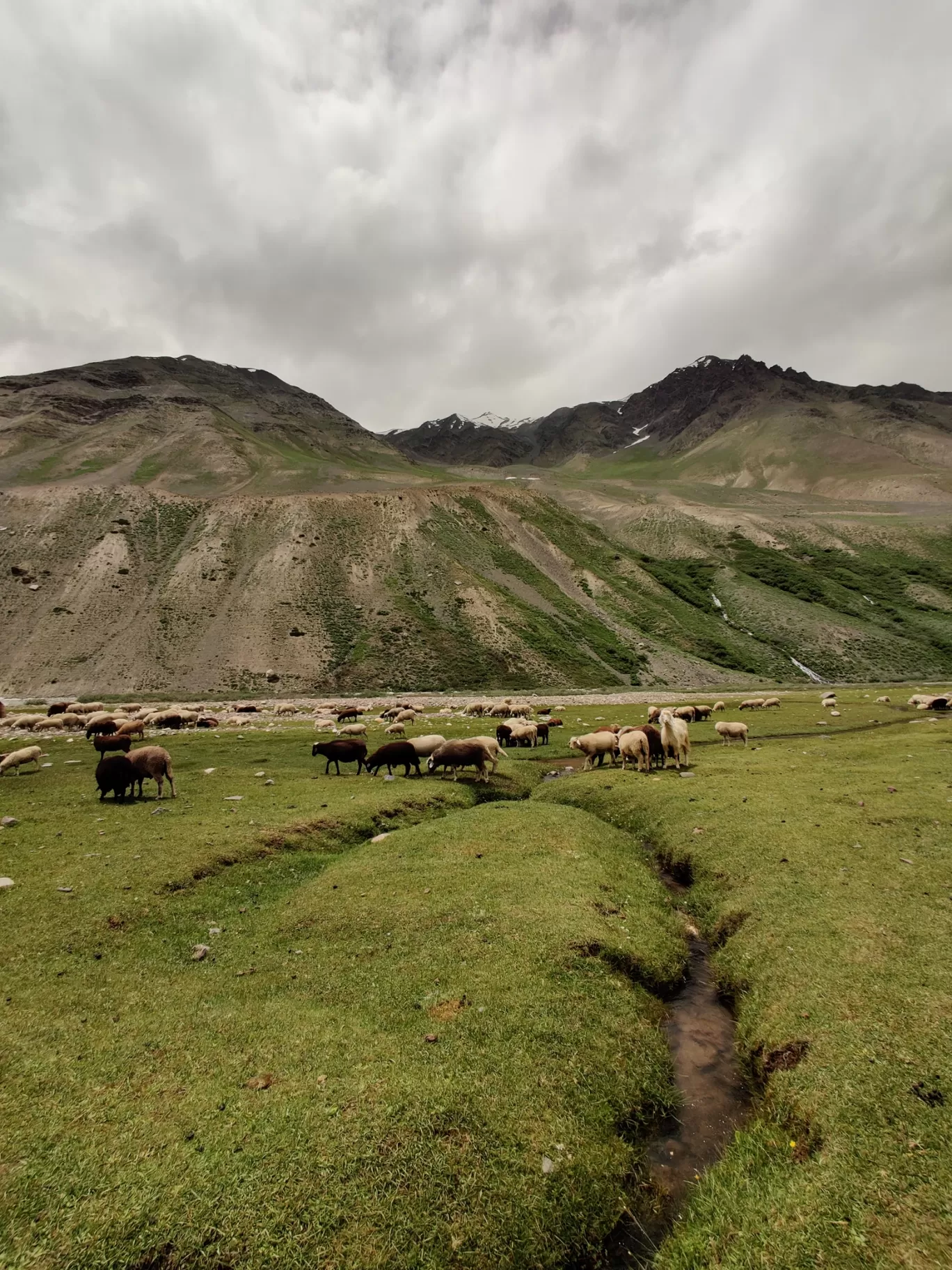 Photo of Pin Bhaba Outdoors By Sachi Sakshi Upadhyaya