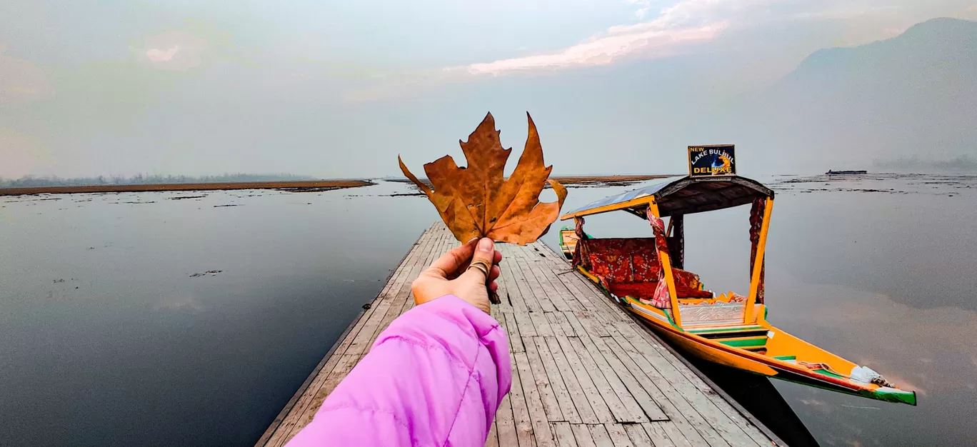 Photo of Char Chinar Dal lake By Sachi Sakshi Upadhyaya