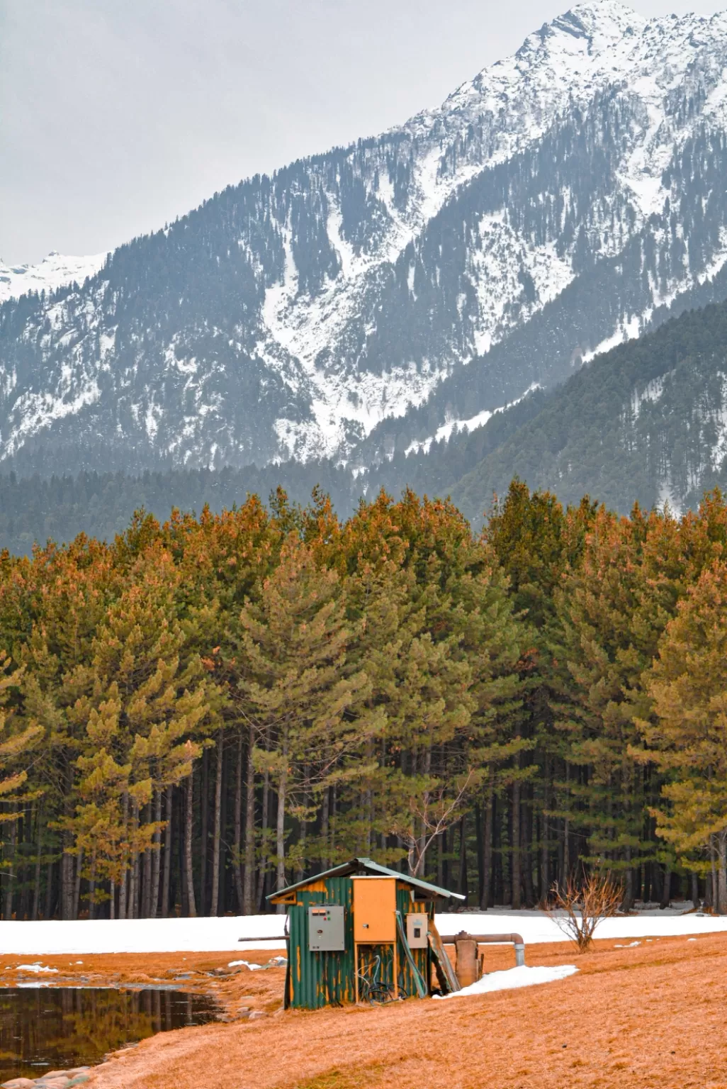 Photo of Betaab Valley By Sachi Sakshi Upadhyaya