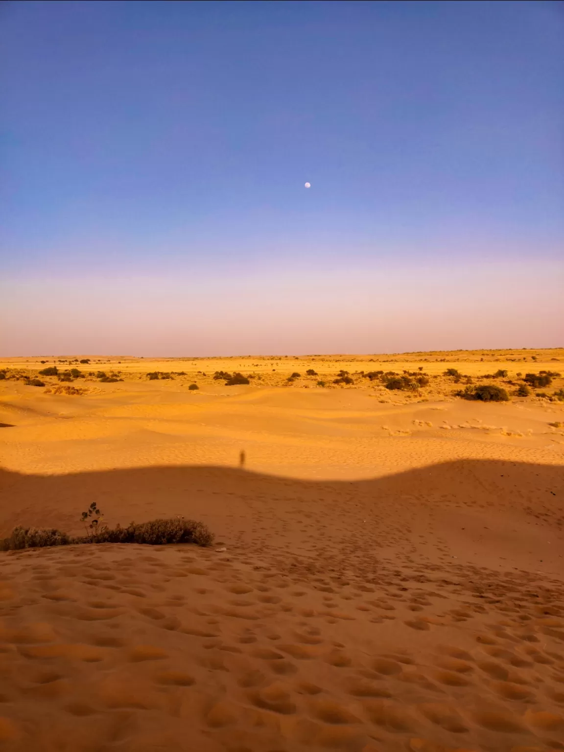 Photo of Jaisalmer By Sachi Sakshi Upadhyaya