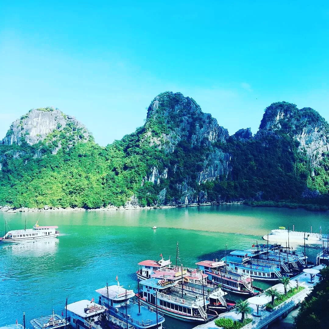 Photo of Halong Bay By Arya Dutta