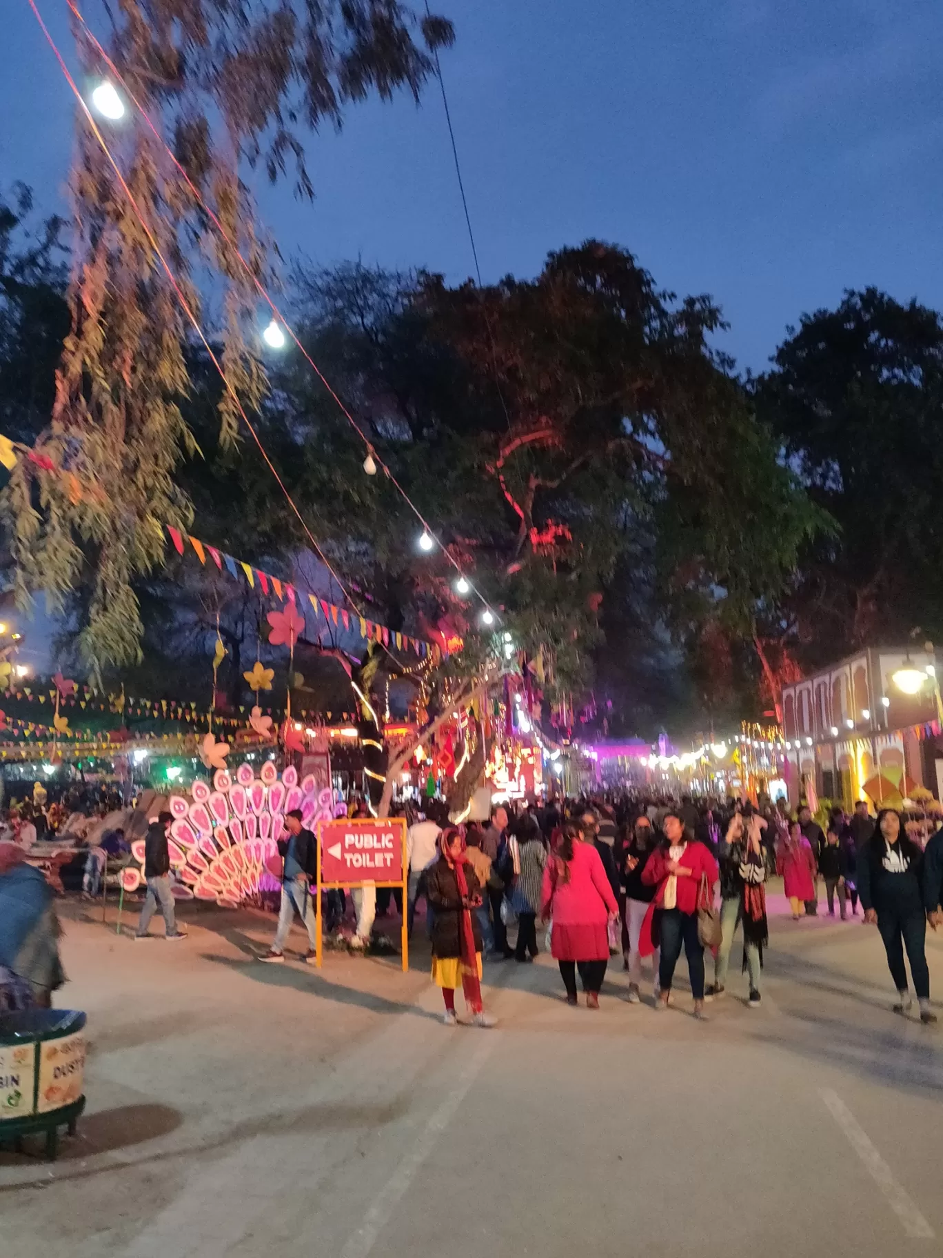 Photo of Surajkund Mela By Kanika Konwar