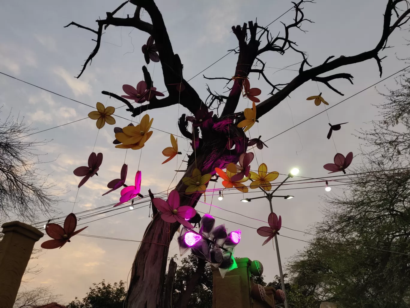 Photo of Surajkund Mela By Kanika Konwar