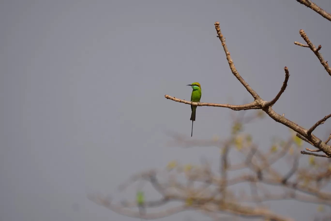 Photo of Satara By The Part-time Wanderer 