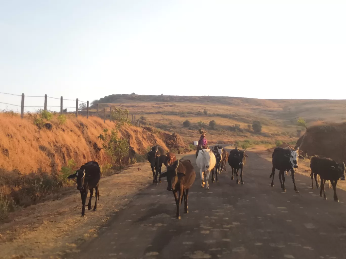 Photo of Satara By The Part-time Wanderer 