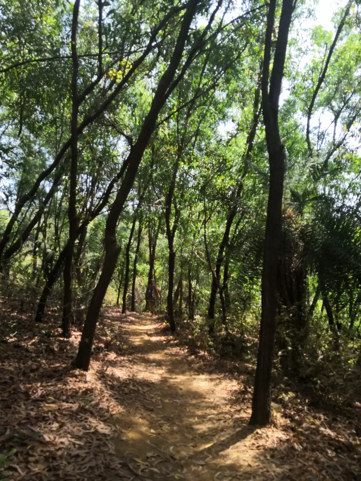 Photo of Gokarna By The Part-time Wanderer 