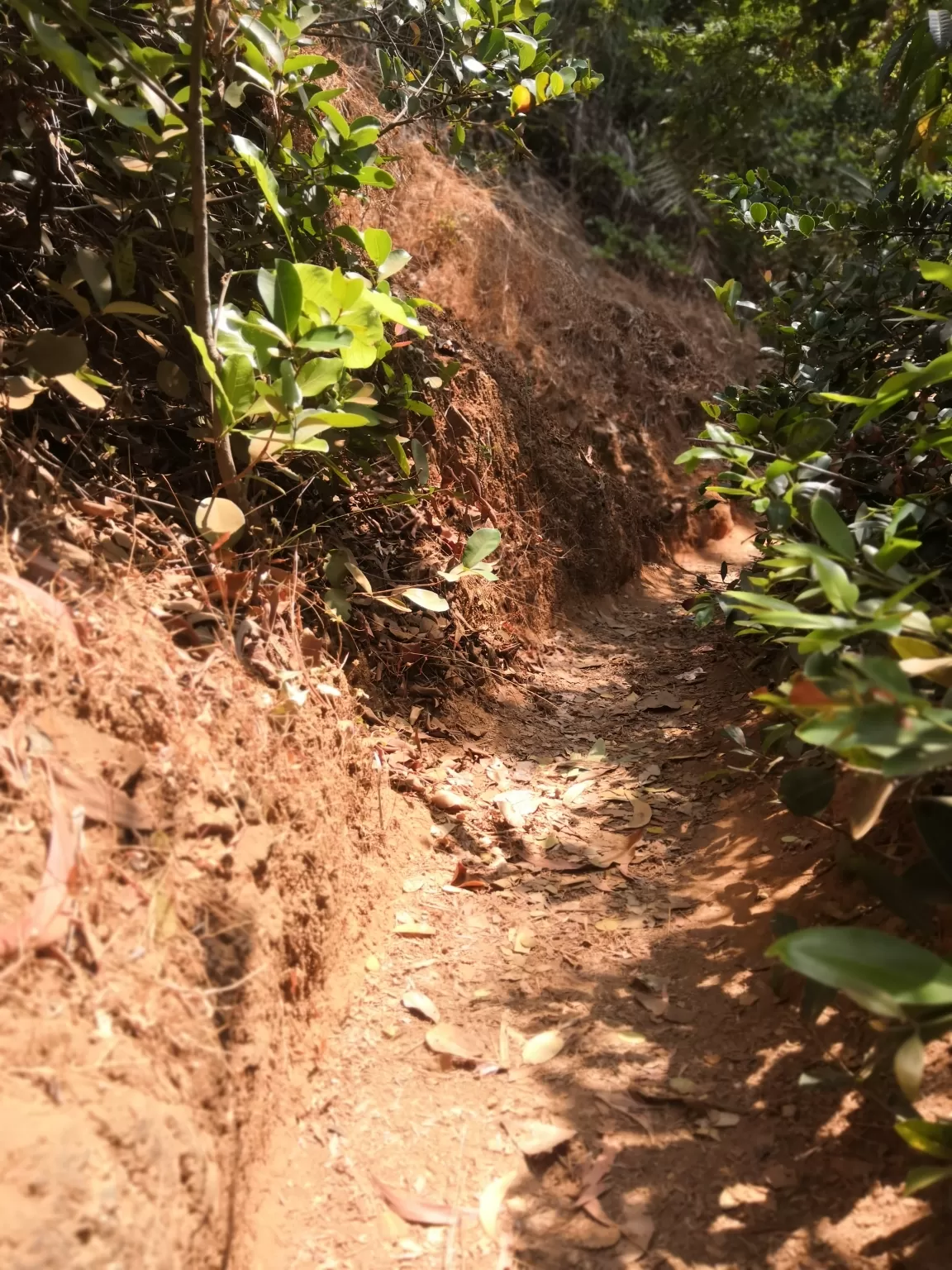 Photo of Gokarna By The Part-time Wanderer 
