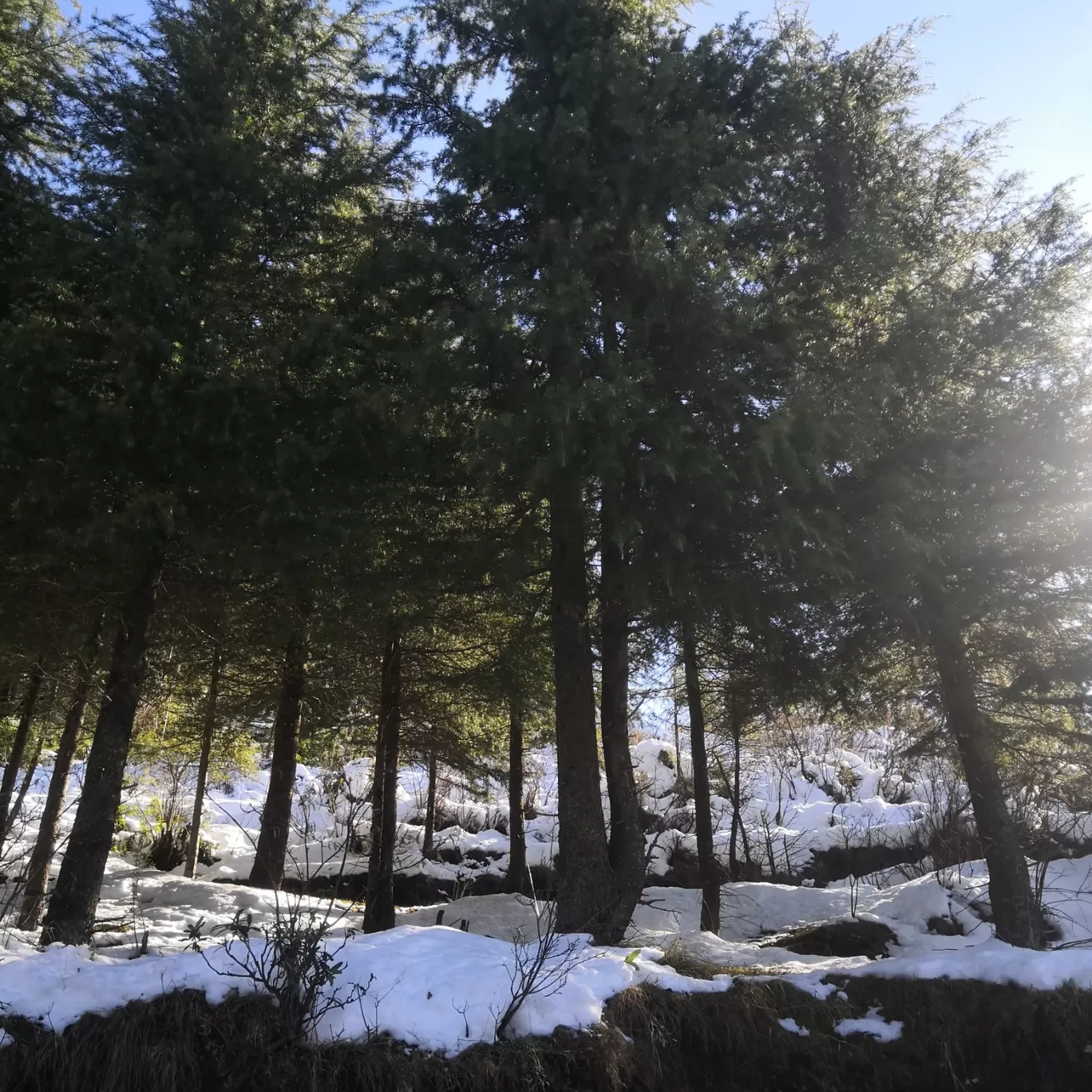 Photo of Himachal Pradesh By The Part-time Wanderer 