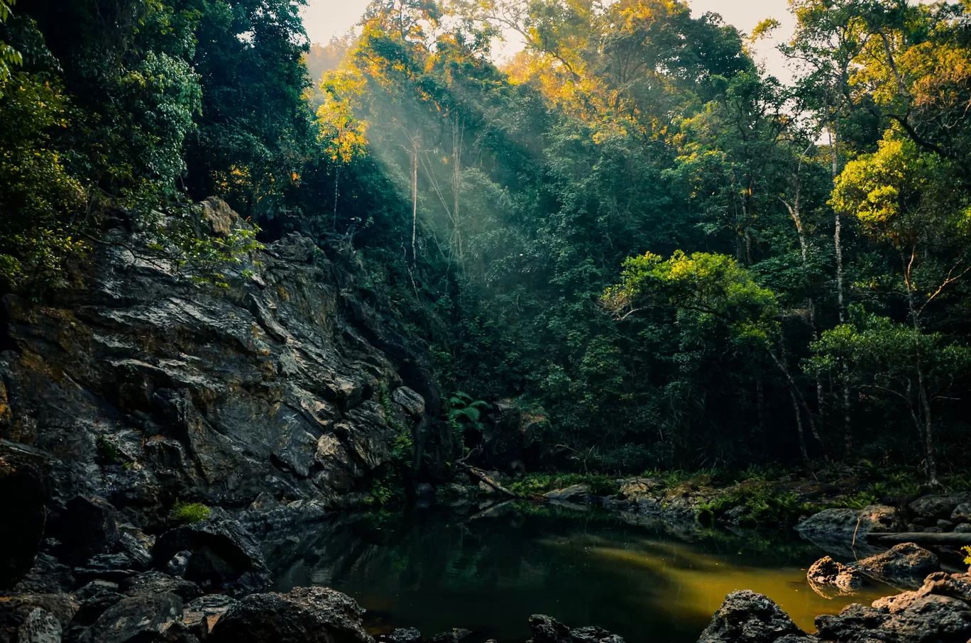 Photo of Shivamogga By Rajath Bharadwaj