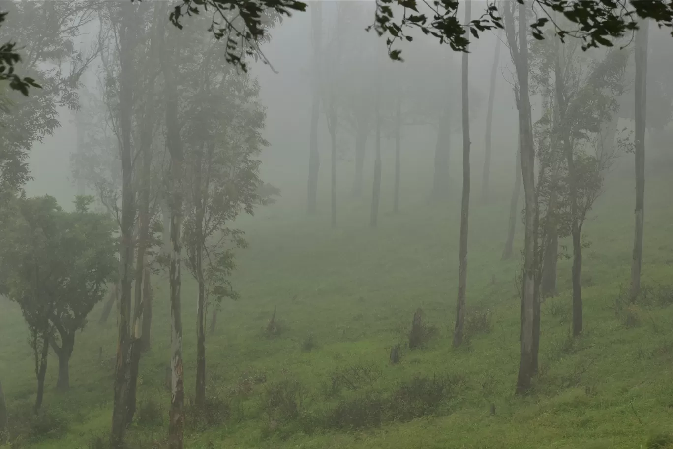 Photo of Bengaluru By Rajath Bharadwaj