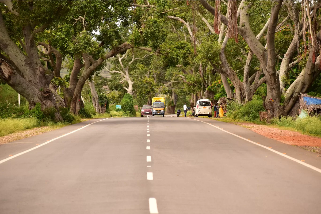 Photo of Bengaluru By Rajath Bharadwaj