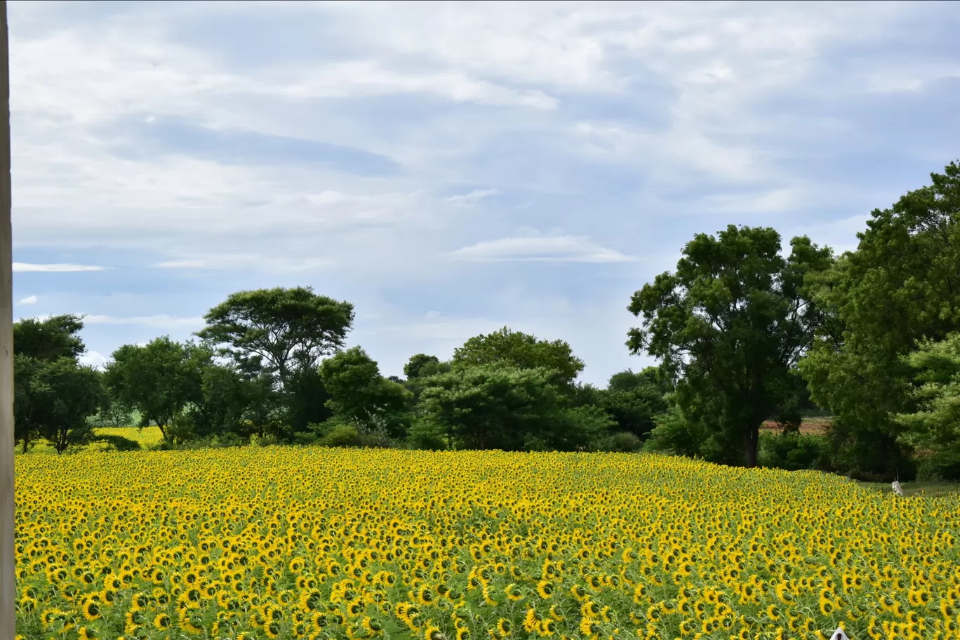 Photo of Bengaluru By Rajath Bharadwaj